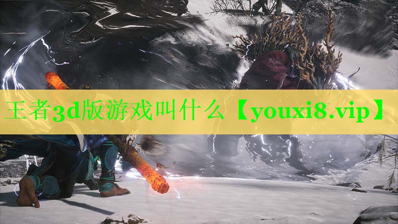 王者3d版游戏叫什么