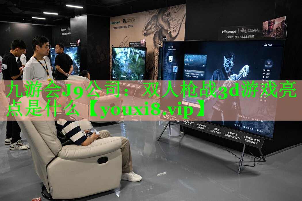 双人枪战3d游戏亮点是什么 双人枪战3d游戏亮点是什么