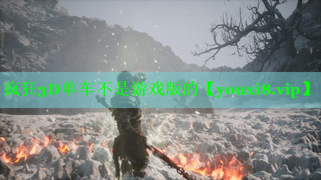 疯狂3D单车不是游戏版的 疯狂3D单车不是游戏版的