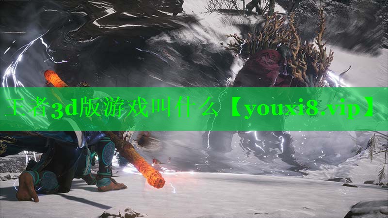 王者3d版游戏叫什么 王者3d版游戏叫什么