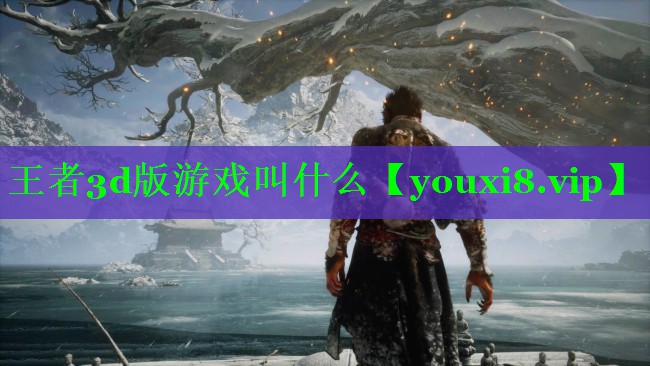 王者3d版游戏叫什么 王者3d版游戏叫什么